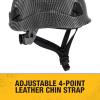 imageDEWALT DPG22 Yellow Type IISlate