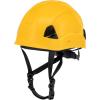 imageDEWALT DPG22 Yellow Type IIYellow