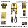 imageDEWALT 5Point Fall Protection HarnessLeg Buckles