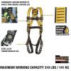 imageDEWALT 5Point Fall Protection HarnessTongue Buckle Legs