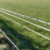 imageDeWALT 1320 ft 1212 Gauge Galvanized Steel 4Point Barbed Wire