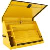 imageDeWalt 36quot x 17quot Triangle Toolbox  Steel BlackYellow