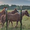 imageDeWalt Fence 48 in x 100 ft 1212 Gauge Galvanized Steel Horse Fence DXAFMT34830848 in x 100 ft